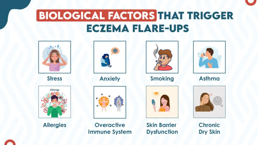 Biological Factors That Trigger Eczema Flare-ups