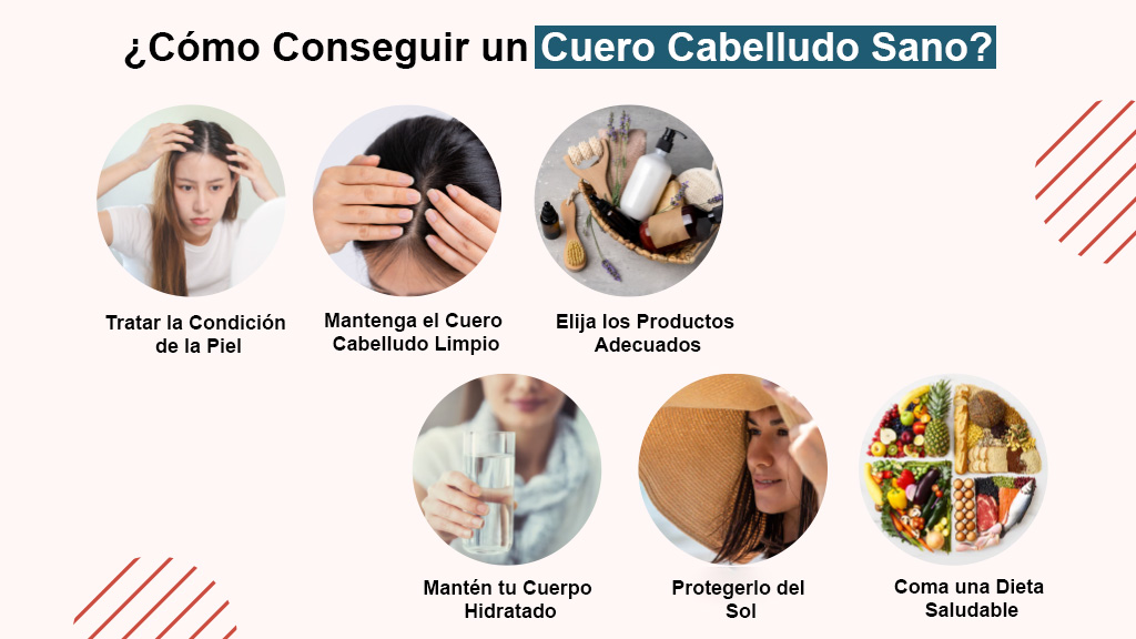 ¿Cómo Conseguir un Cuero Cabelludo Sano?