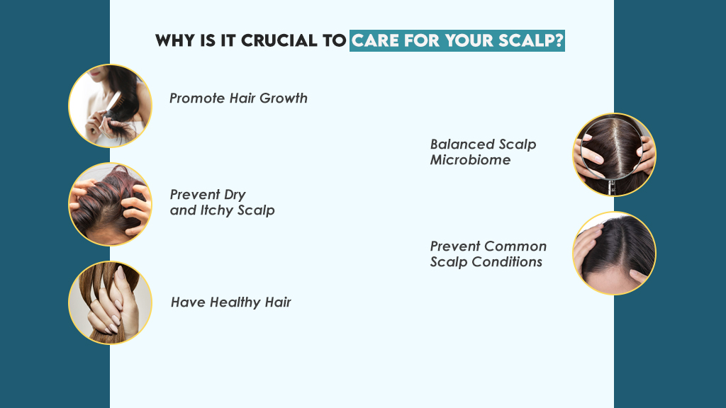 Why is It Crucial to Care for Your Scalp?