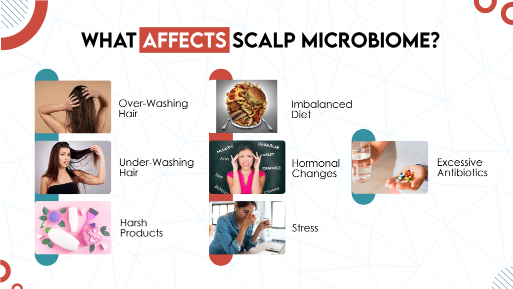 What Affects Scalp Microbiome?