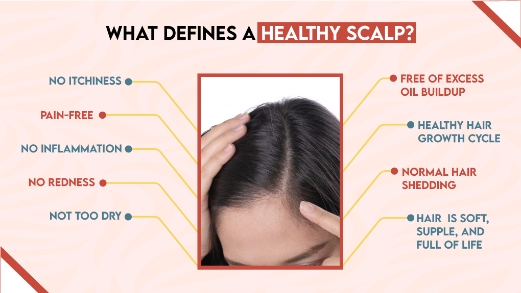 What Defines a Healthy Scalp?