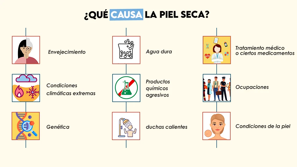 ¿Qué causa la piel seca?