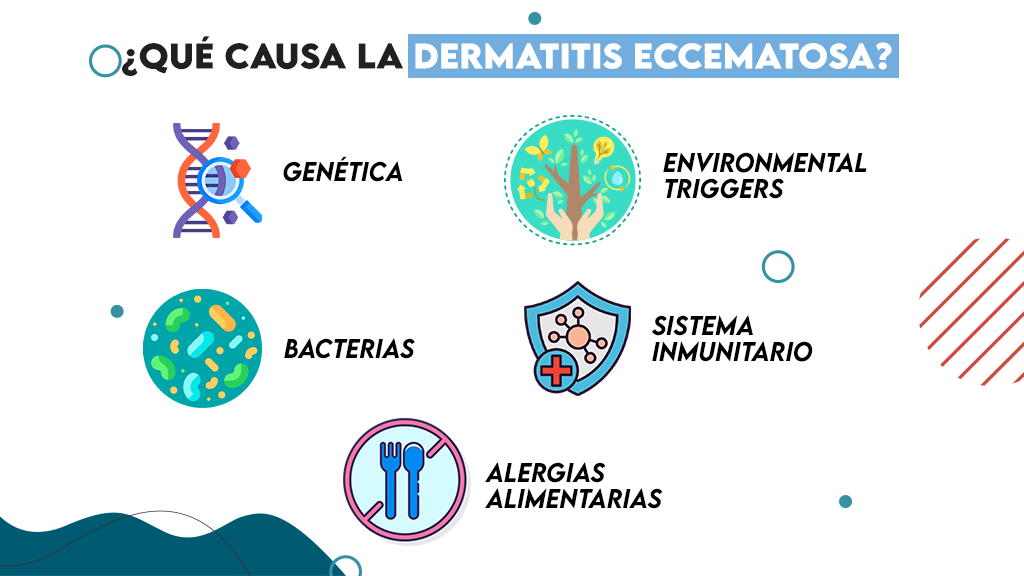 ¿Qué causa la dermatitis eccematosa?