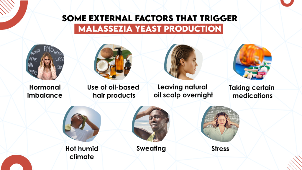 Some External Factors That Trigger Malassezia Yeast Production