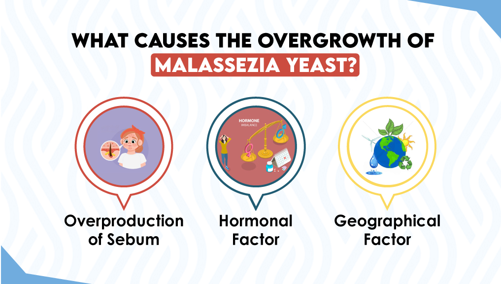 What Causes the Overgrowth of Malassezia Yeast?