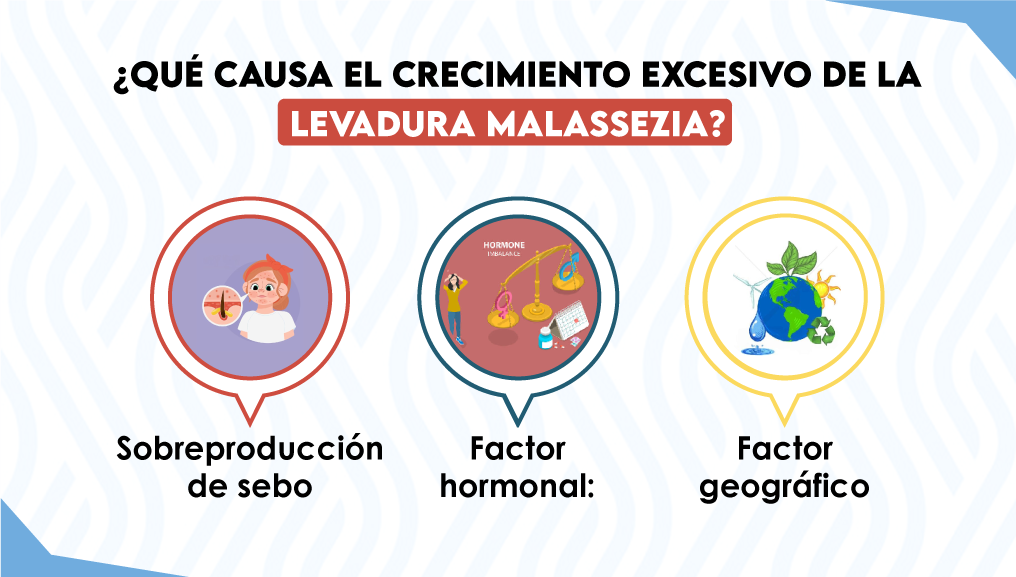 ¿Qué causa el crecimiento excesivo de la levadura Malassezia?