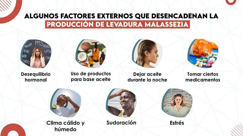 Algunos factores externos que desencadenan la producción de levadura Malassezia