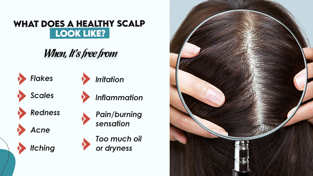 What Does a Healthy Scalp Look Like? 