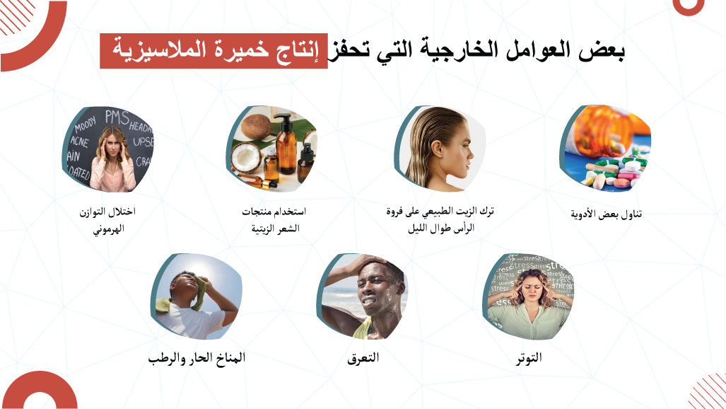 بعض العوامل الخارجية التي تحفز إنتاج خميرة الملاسيزية
