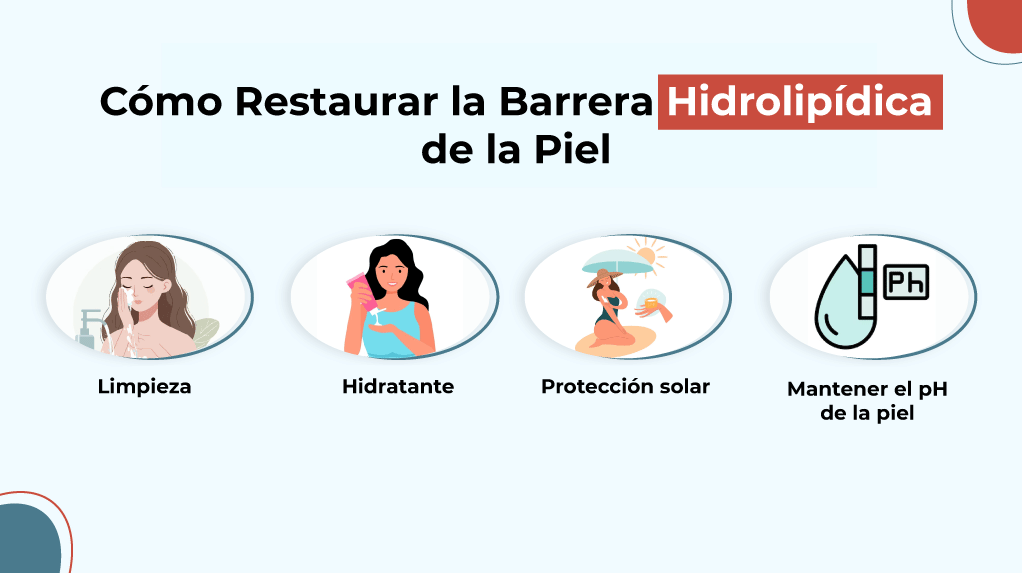 Cómo Restaurar la Barrera Hidrolipídica de la Piel
