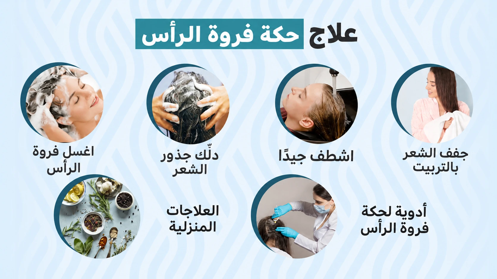 خطوات مصورة للعناية بفروة الرأس توضح الغسل والتدليك اللطيف والشطف والتجفيف بالمنشفة وخيارات العلاج.